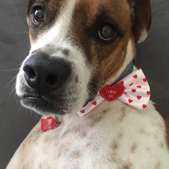 Future Mrs.Couture - Picture 7 of 16